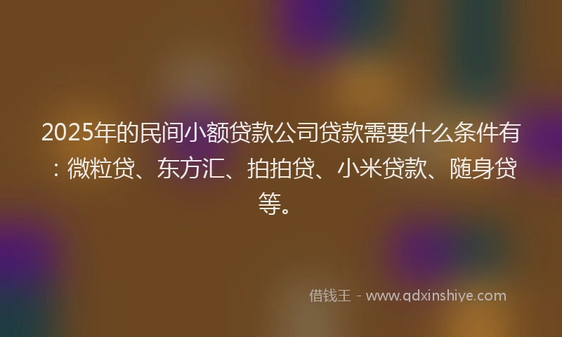 2025年的民间小额贷款公司贷款需要什么条件有：微粒贷、东方汇、拍拍贷、小米贷款、随身贷等。