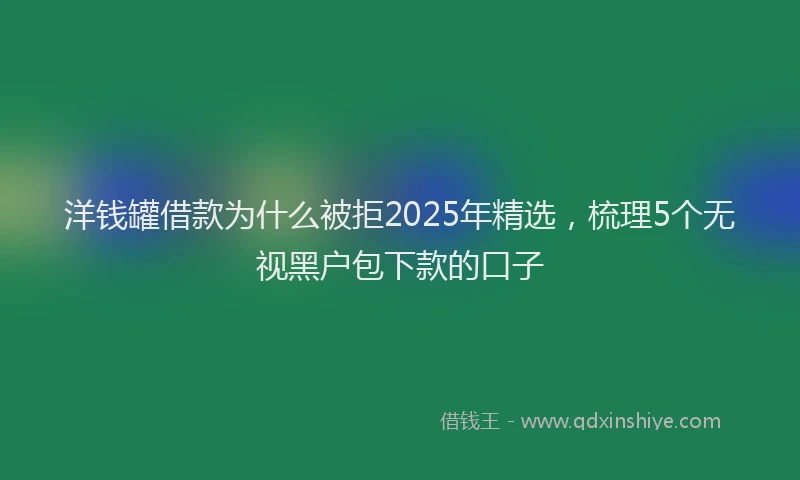 洋钱罐借款为什么被拒2025年精选，梳理5个无视黑户包下款的口子