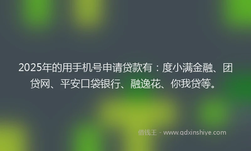 2025年的用手机号申请贷款有：度小满金融、团贷网、平安口袋银行、融逸花、你我贷等。
