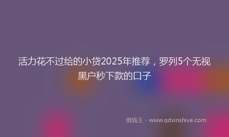 活力花不过给的小贷2025年推荐，罗列5个无视黑户秒下款的口子