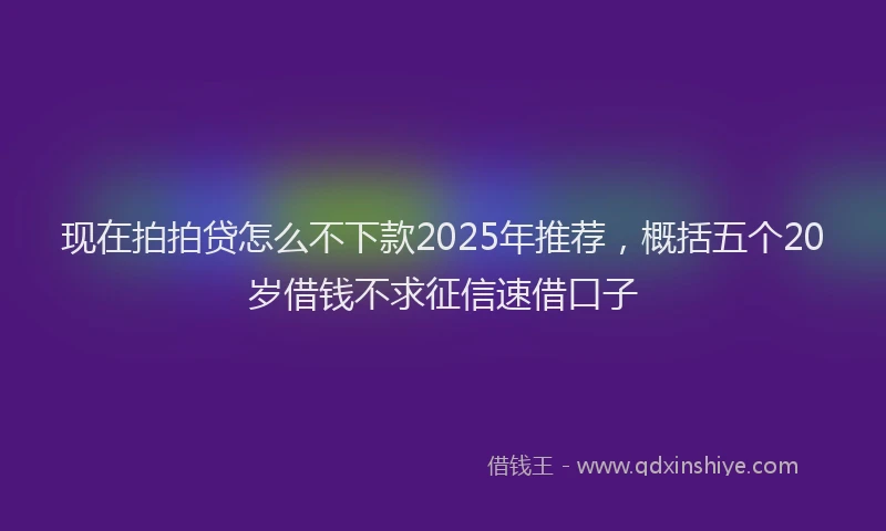 现在拍拍贷怎么不下款2025年推荐，概括五个20岁借钱不求征信速借口子
