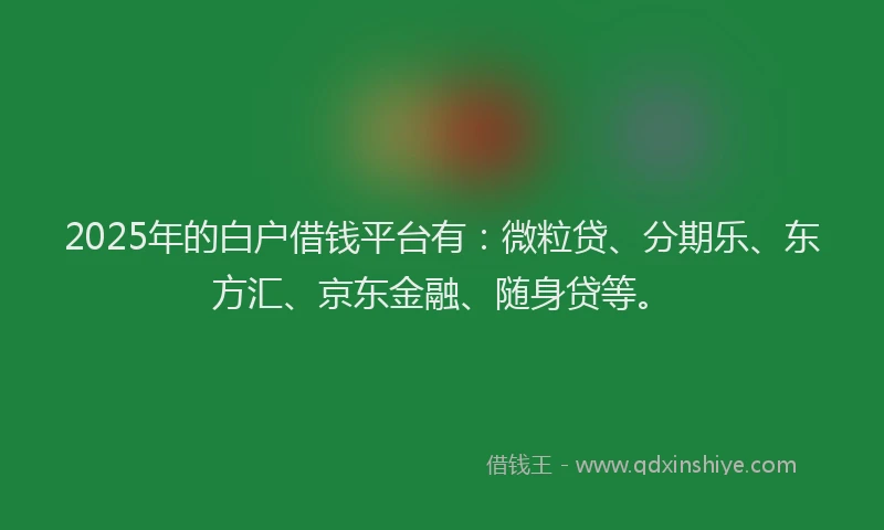 2025年的白户借钱平台有：微粒贷、分期乐、东方汇、京东金融、随身贷等。