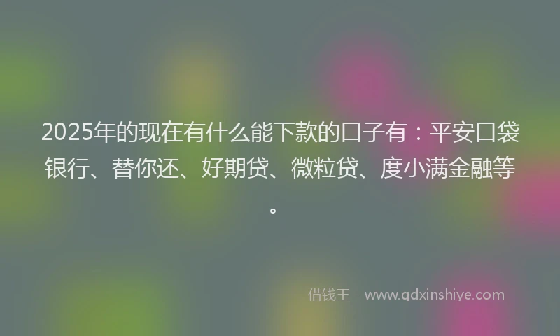 2025年的现在有什么能下款的口子有：平安口袋银行、替你还、好期贷、微粒贷、度小满金融等。