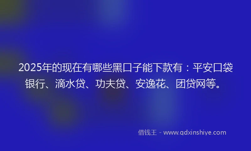 2025年的现在有哪些黑口子能下款有：平安口袋银行、滴水贷、功夫贷、安逸花、团贷网等。