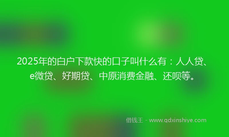 2025年的白户下款快的口子叫什么有：人人贷、e微贷、好期贷、中原消费金融、还呗等。