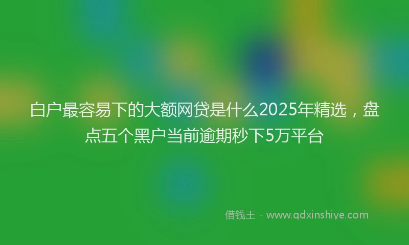 白户最容易下的大额网贷是什么2025年精选，盘点五个黑户当前逾期秒下5万平台