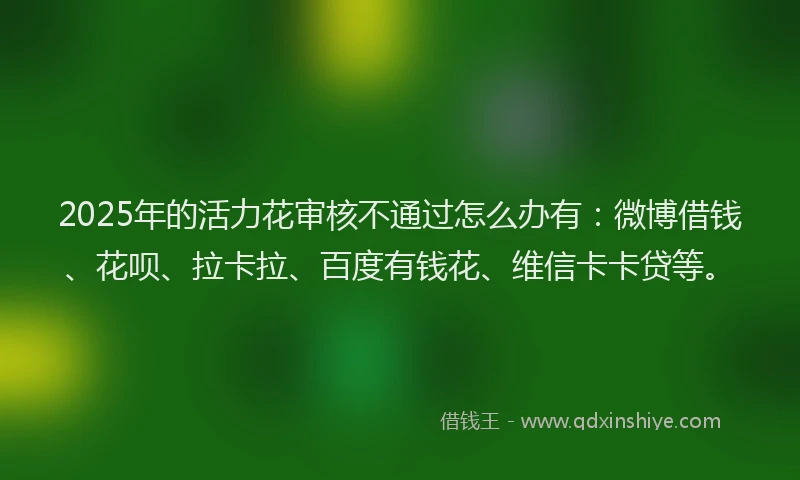 2025年的活力花审核不通过怎么办有：微博借钱、花呗、拉卡拉、百度有钱花、维信卡卡贷等。