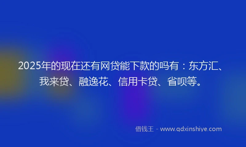 2025年的现在还有网贷能下款的吗有：东方汇、我来贷、融逸花、信用卡贷、省呗等。