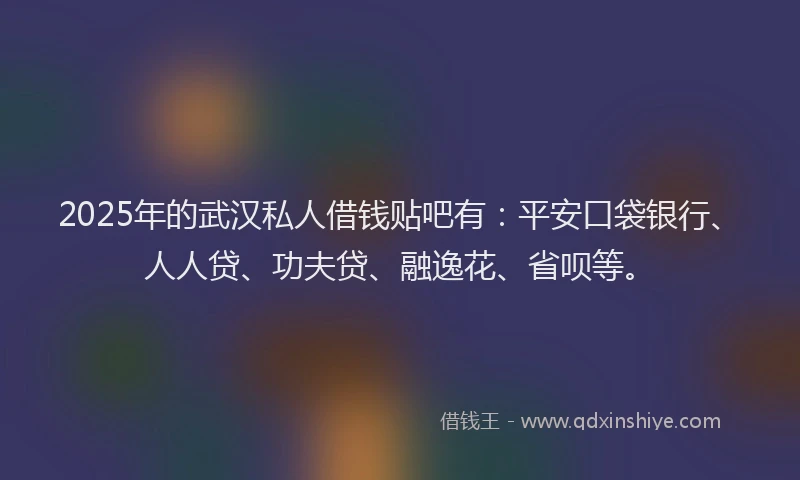 2025年的武汉私人借钱贴吧有：平安口袋银行、人人贷、功夫贷、融逸花、省呗等。