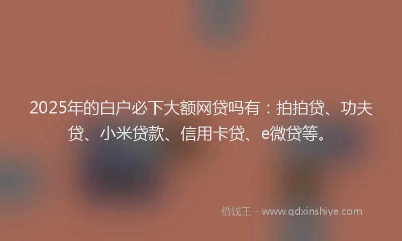2025年的白户必下大额网贷吗有：拍拍贷、功夫贷、小米贷款、信用卡贷、e微贷等。