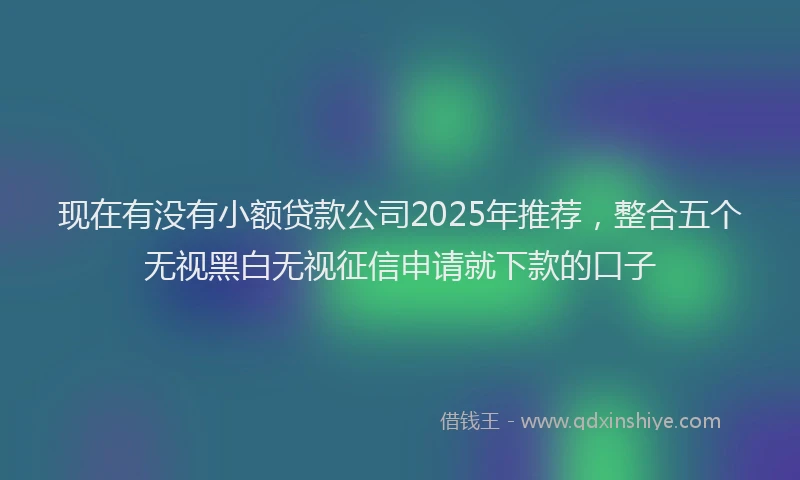 现在有没有小额贷款公司2025年推荐，整合五个无视黑白无视征信申请就下款的口子