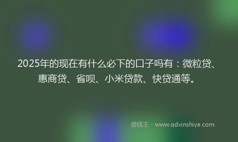 2025年的现在有什么必下的口子吗有：微粒贷、惠商贷、省呗、小米贷款、快贷通等。
