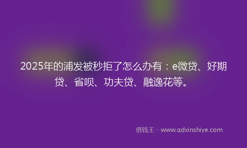 2025年的浦发被秒拒了怎么办有：e微贷、好期贷、省呗、功夫贷、融逸花等。