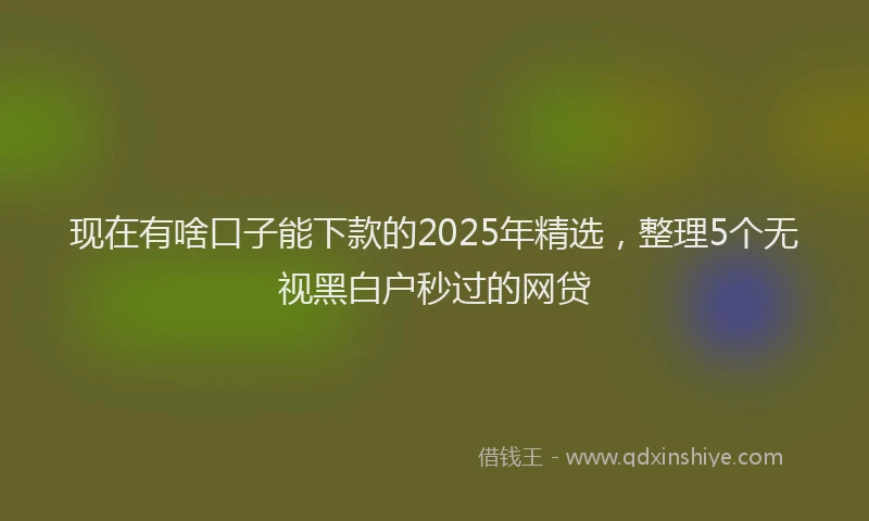 现在有啥口子能下款的2025年精选，整理5个无视黑白户秒过的网贷