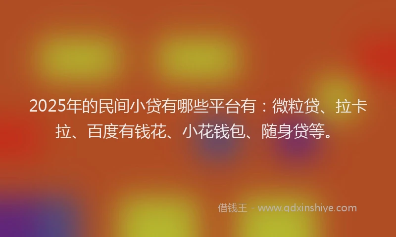 2025年的民间小贷有哪些平台有：微粒贷、拉卡拉、百度有钱花、小花钱包、随身贷等。