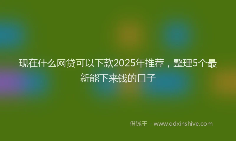 现在什么网贷可以下款2025年推荐，整理5个最新能下来钱的口子