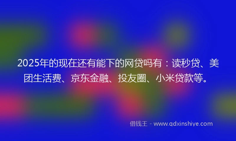 2025年的现在还有能下的网贷吗有：读秒贷、美团生活费、京东金融、投友圈、小米贷款等。