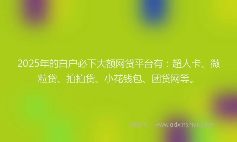 2025年的白户必下大额网贷平台有：超人卡、微粒贷、拍拍贷、小花钱包、团贷网等。