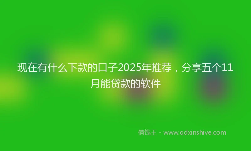 现在有什么下款的口子2025年推荐，分享五个11月能贷款的软件