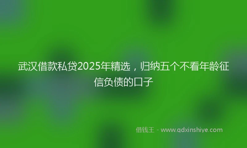 武汉借款私贷2025年精选，归纳五个不看年龄征信负债的口子