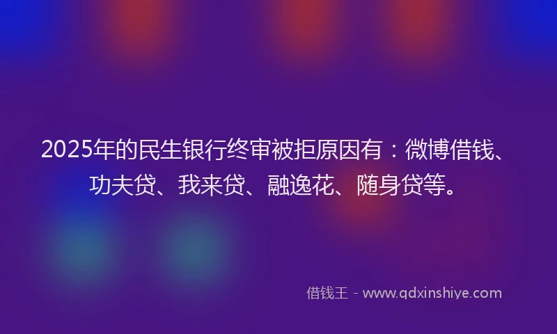2025年的民生银行终审被拒原因有：微博借钱、功夫贷、我来贷、融逸花、随身贷等。