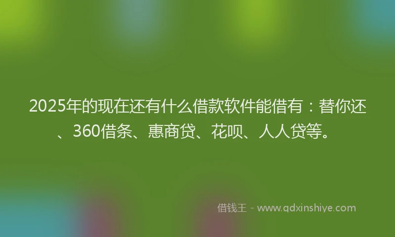 2025年的现在还有什么借款软件能借有：替你还、360借条、惠商贷、花呗、人人贷等。
