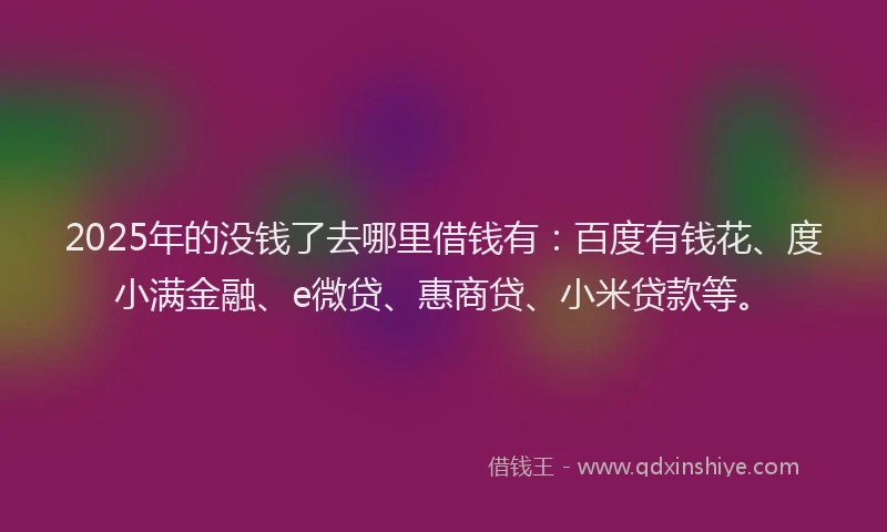 2025年的没钱了去哪里借钱有：百度有钱花、度小满金融、e微贷、惠商贷、小米贷款等。