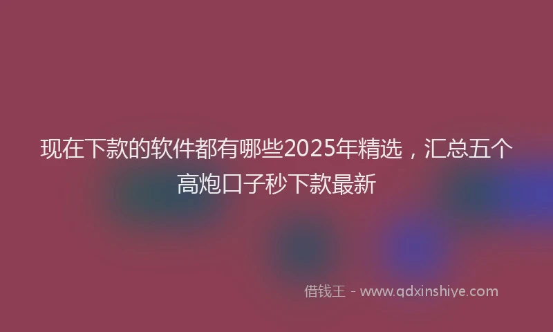 现在下款的软件都有哪些2025年精选，汇总五个高炮口子秒下款最新