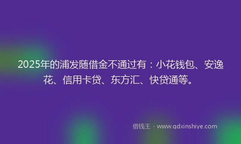 2025年的浦发随借金不通过有：小花钱包、安逸花、信用卡贷、东方汇、快贷通等。
