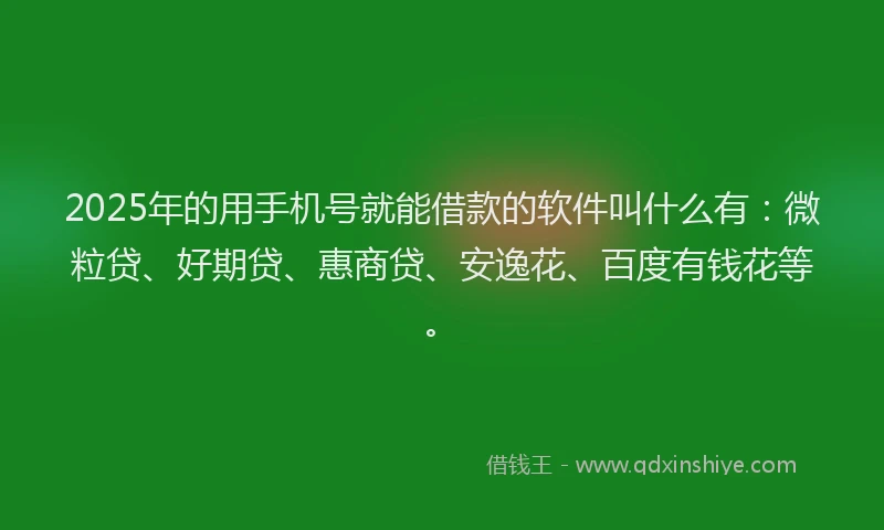 2025年的用手机号就能借款的软件叫什么有：微粒贷、好期贷、惠商贷、安逸花、百度有钱花等。