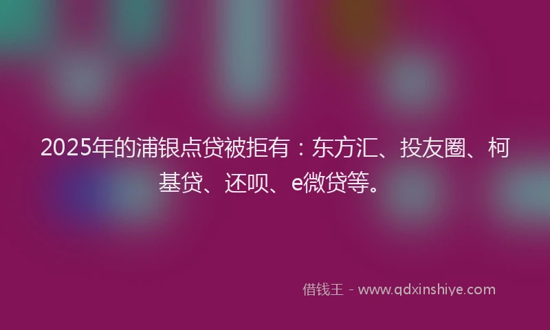 2025年的浦银点贷被拒有：东方汇、投友圈、柯基贷、还呗、e微贷等。