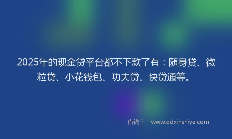 2025年的现金贷平台都不下款了有:随身贷、微粒贷、小花钱包、功夫贷、快贷通等。