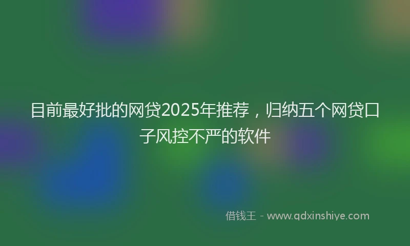 目前最好批的网贷2025年推荐，归纳五个网贷口子风控不严的软件
