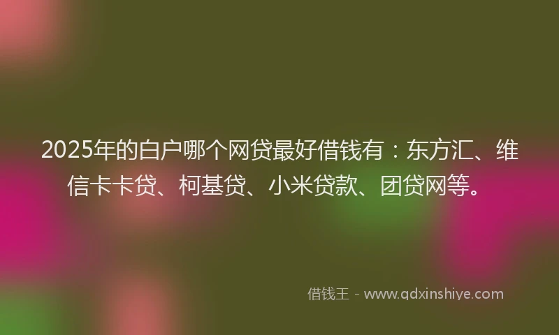 2025年的白户哪个网贷最好借钱有：东方汇、维信卡卡贷、柯基贷、小米贷款、团贷网等。