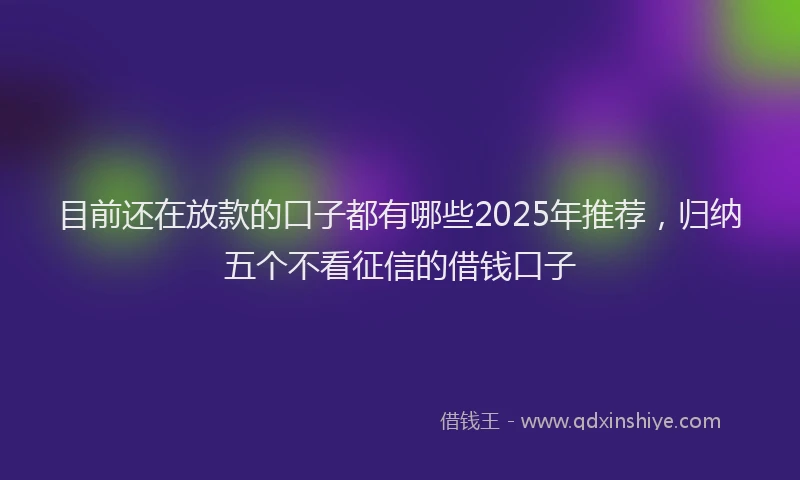 目前还在放款的口子都有哪些2025年推荐，归纳五个不看征信的借钱口子