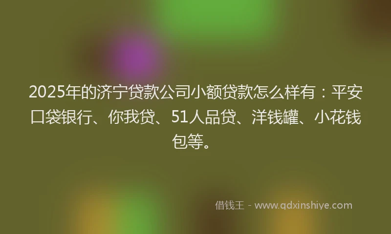 2025年的济宁贷款公司小额贷款怎么样有：平安口袋银行、你我贷、51人品贷、洋钱罐、小花钱包等。