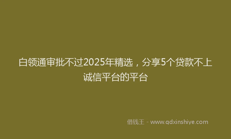 白领通审批不过2025年精选，分享5个贷款不上诚信平台的平台