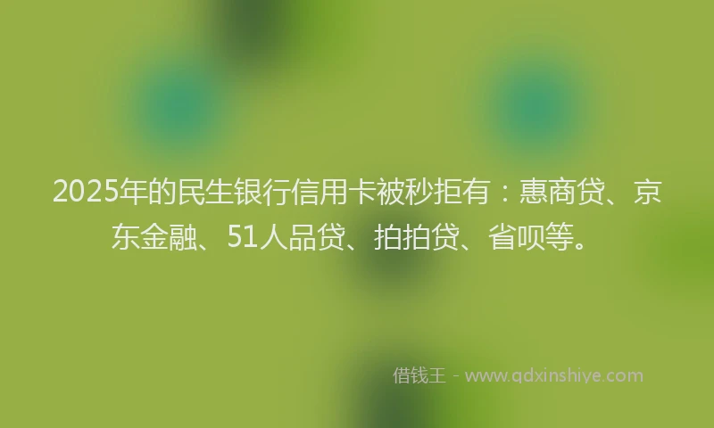 2025年的民生银行信用卡被秒拒有：惠商贷、京东金融、51人品贷、拍拍贷、省呗等。