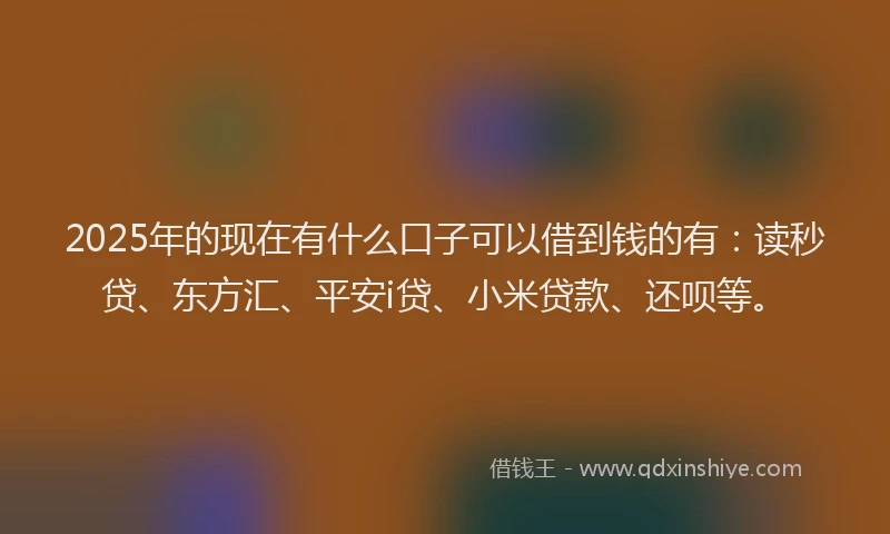 2025年的现在有什么口子可以借到钱的有：读秒贷、东方汇、平安i贷、小米贷款、还呗等。