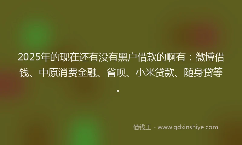 2025年的现在还有没有黑户借款的啊有：微博借钱、中原消费金融、省呗、小米贷款、随身贷等。