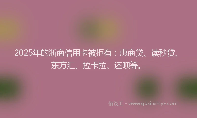 2025年的浙商信用卡被拒有：惠商贷、读秒贷、东方汇、拉卡拉、还呗等。
