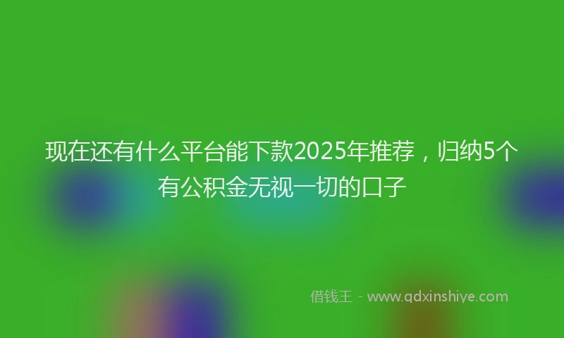 现在还有什么平台能下款2025年推荐，归纳5个有公积金无视一切的口子