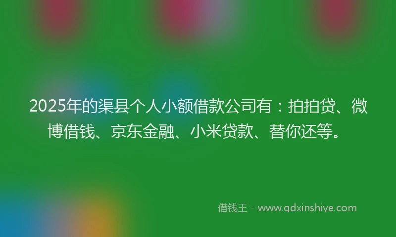 2025年的渠县个人小额借款公司有：拍拍贷、微博借钱、京东金融、小米贷款、替你还等。