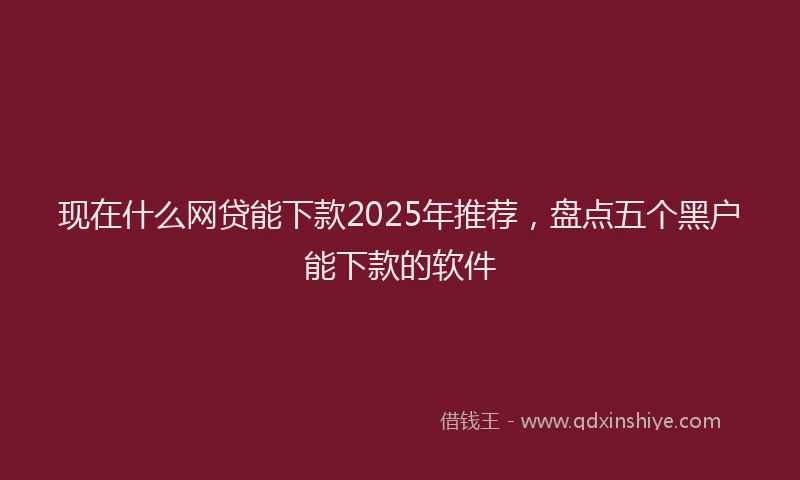 现在什么网贷能下款2025年推荐，盘点五个黑户能下款的软件