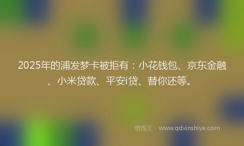 2025年的浦发梦卡被拒有：小花钱包、京东金融、小米贷款、平安i贷、替你还等。
