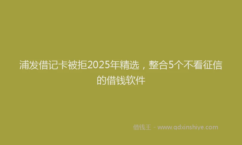 浦发借记卡被拒2025年精选，整合5个不看征信的借钱软件