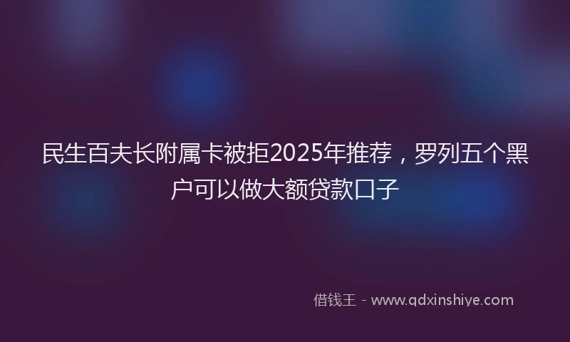 民生百夫长附属卡被拒2025年推荐，罗列五个黑户可以做大额贷款口子