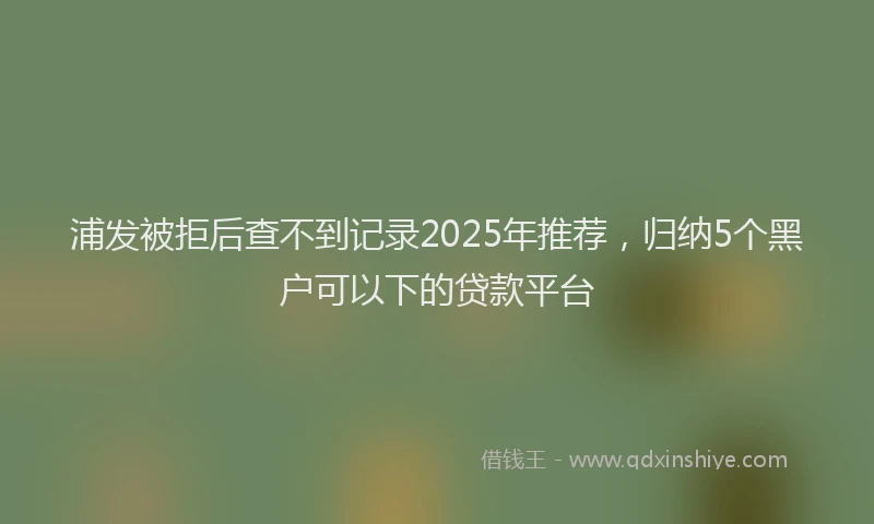 浦发被拒后查不到记录2025年推荐，归纳5个黑户可以下的贷款平台