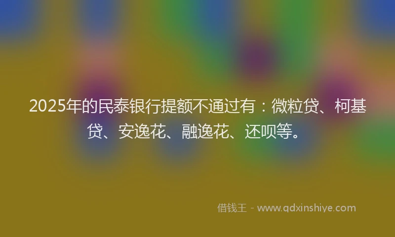 2025年的民泰银行提额不通过有：微粒贷、柯基贷、安逸花、融逸花、还呗等。