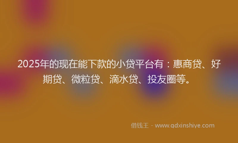 2025年的现在能下款的小贷平台有：惠商贷、好期贷、微粒贷、滴水贷、投友圈等。